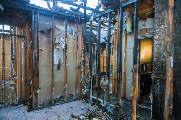 Professional Smoke Damage Restoration technician working in Mount Royal, NJ